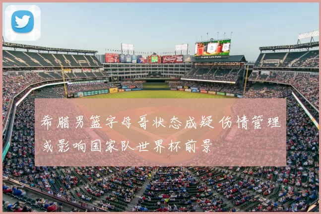 希腊男篮字母哥状态成疑 伤情管理或影响国家队世界杯前景