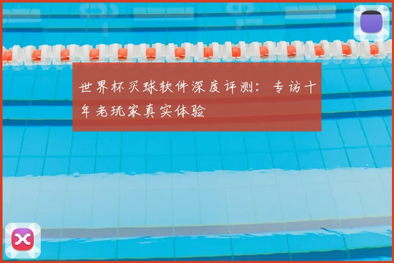 世界杯买球软件深度评测：专访十年老玩家真实体验