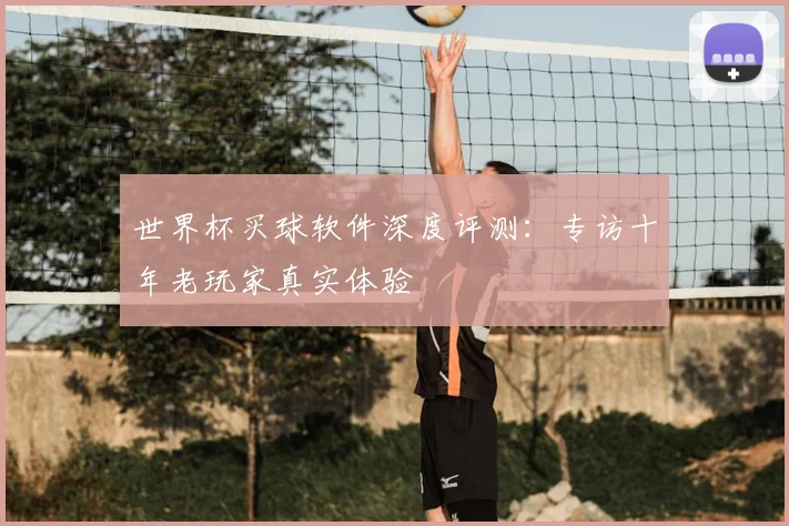 世界杯买球软件深度评测：专访十年老玩家真实体验