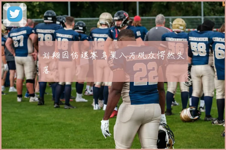 刘翔因伤退赛鸟巢八万观众愕然失落